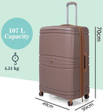 IT Quintessential (Brown)