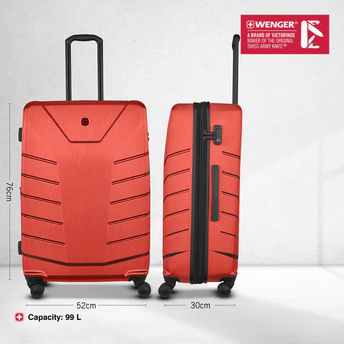 Pegasus sales hand luggage