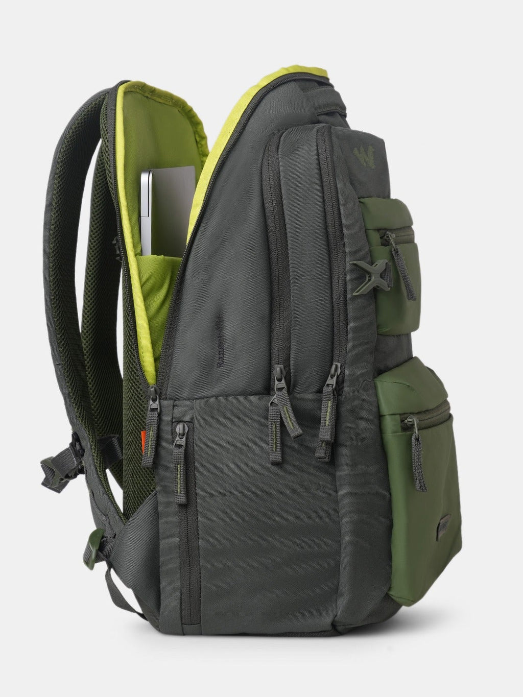 Wildcraft Ranger 45 (Olive)