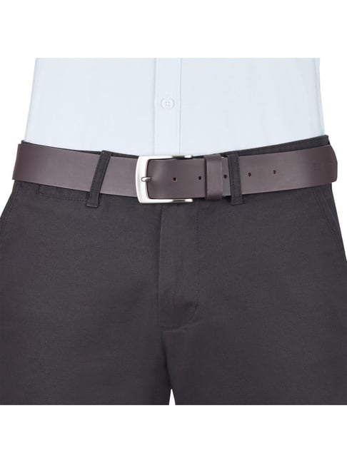 UCB Vaticannrev03l (Brown)