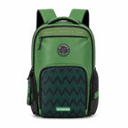 Nasher Miles House Pride (Green)
