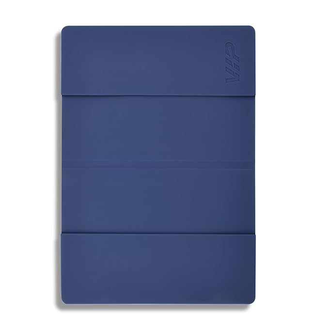 VIP  Sleek Guard Passport Holder (Blue)