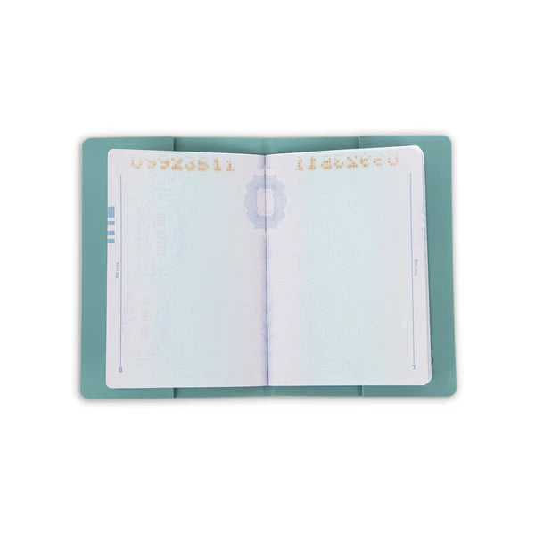 VIP  Sleek Guard Passport Holder (Teal)