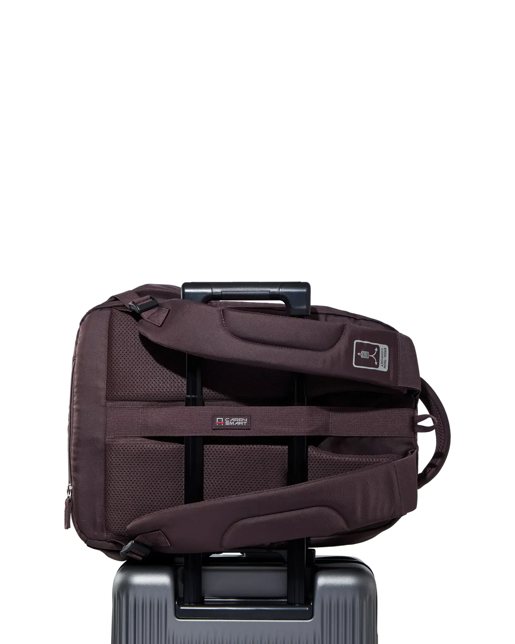 VIP Proxima (Brown)