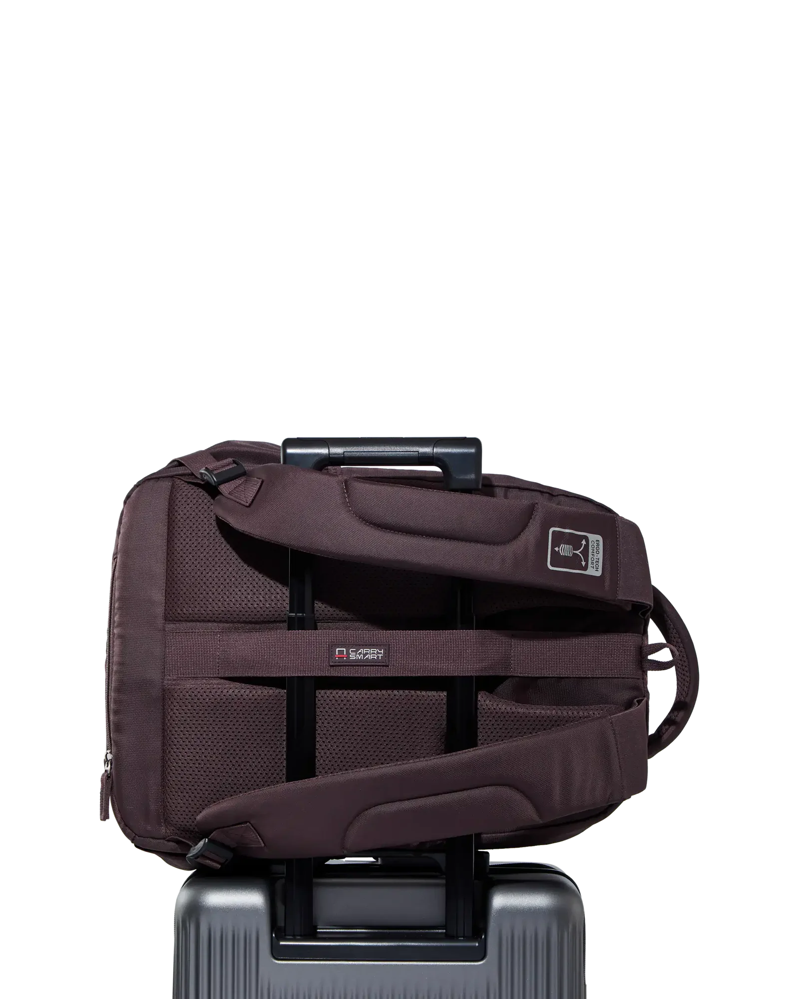 VIP Proxima (Brown)