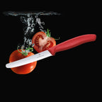 Victorinox Swiss Classic Tomato & Table Knife (Red)