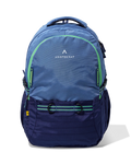 Aristocrat Chip (Blue)