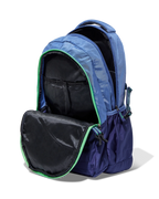 Aristocrat Chip (Blue)