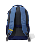 Aristocrat Chip (Blue)
