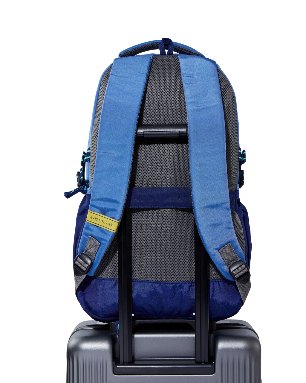 Aristocrat Chip (Blue)