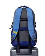 Aristocrat Chip (Blue)
