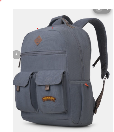 Wildcraft Gypsy 25 (Dark Grey)