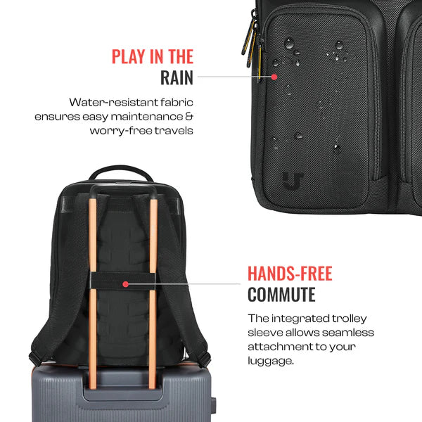Urban Jungle Wayfarer (Black)