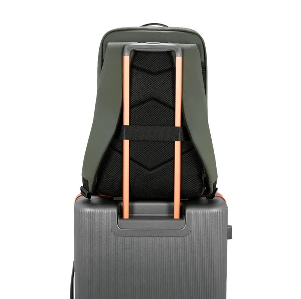 Urban Jungle Hive (Olive)