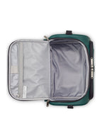 Delsey Dita Tote Beauty Case (Green)