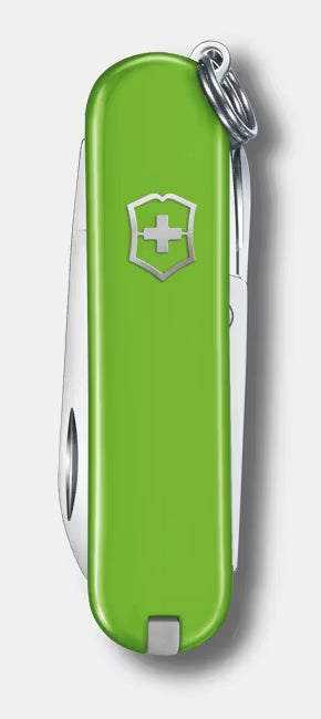 Victorinox Classic (Smashed Avocado)