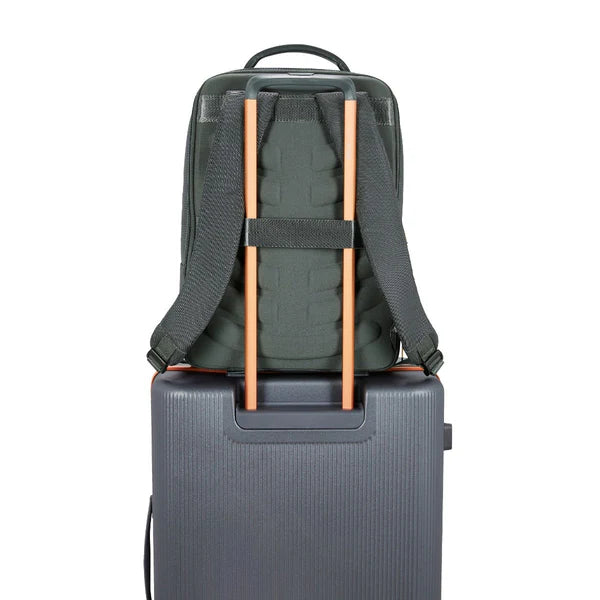 Urban Jungle Wayfarer (Grey)