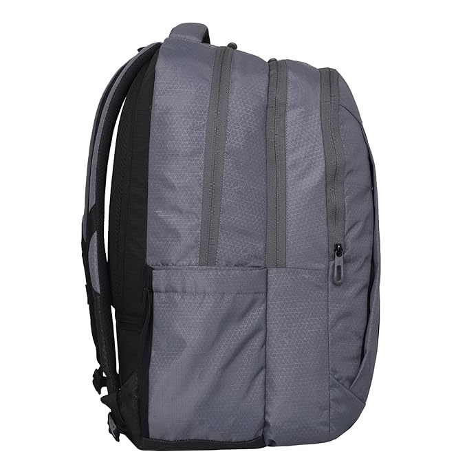 Arctic fox Aim (Black)