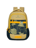 Aristocrat Buzz (Beige & Grey)