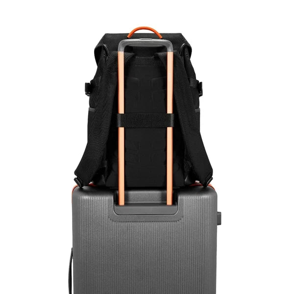 Urban Jungle Vertex (Black)