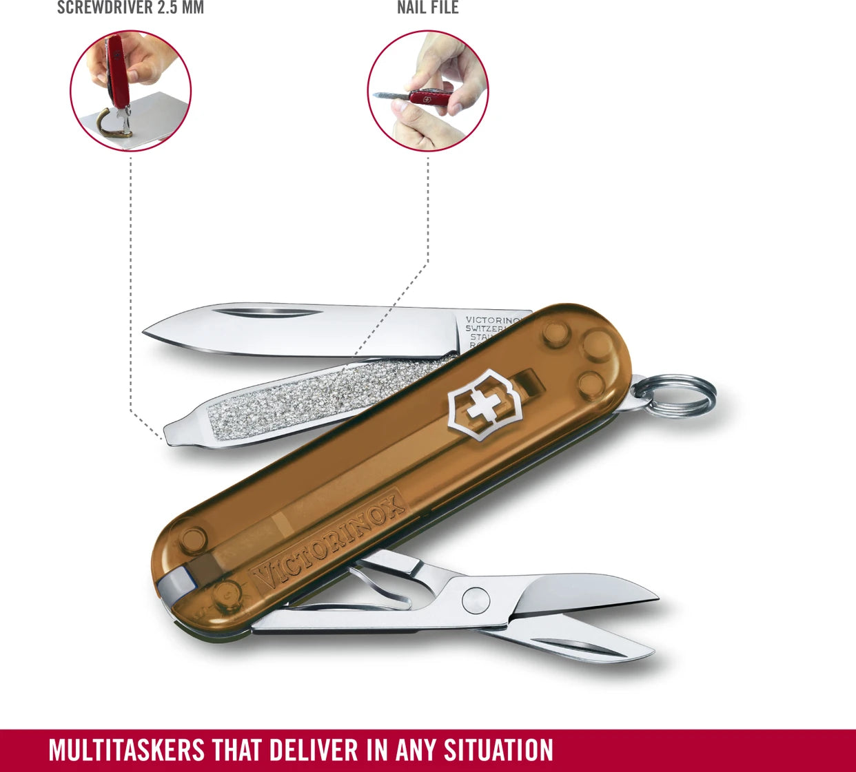 Victorinox Classic (Chocolate Fudge)