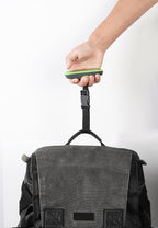 Travel Blue Portable digital Scale (Green)