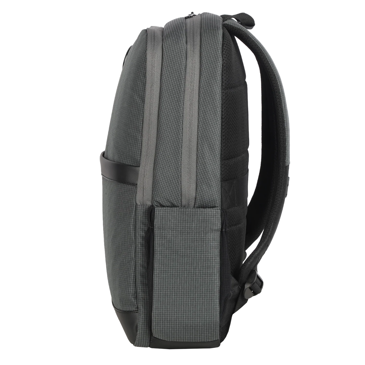 Arctic Fox Pules (Grey)