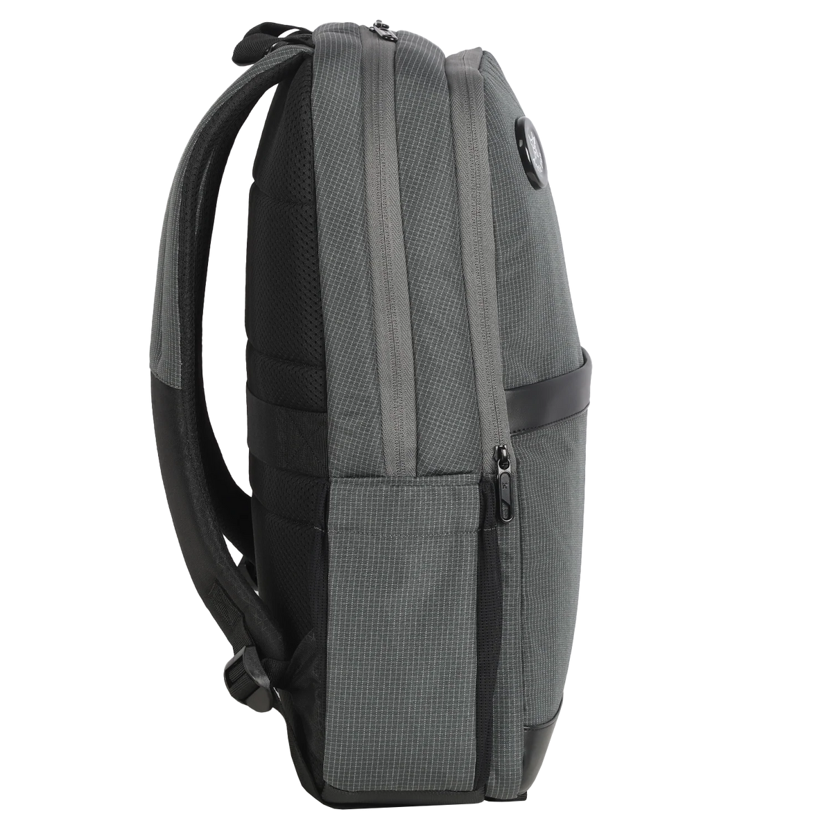 Arctic Fox Pules (Grey)