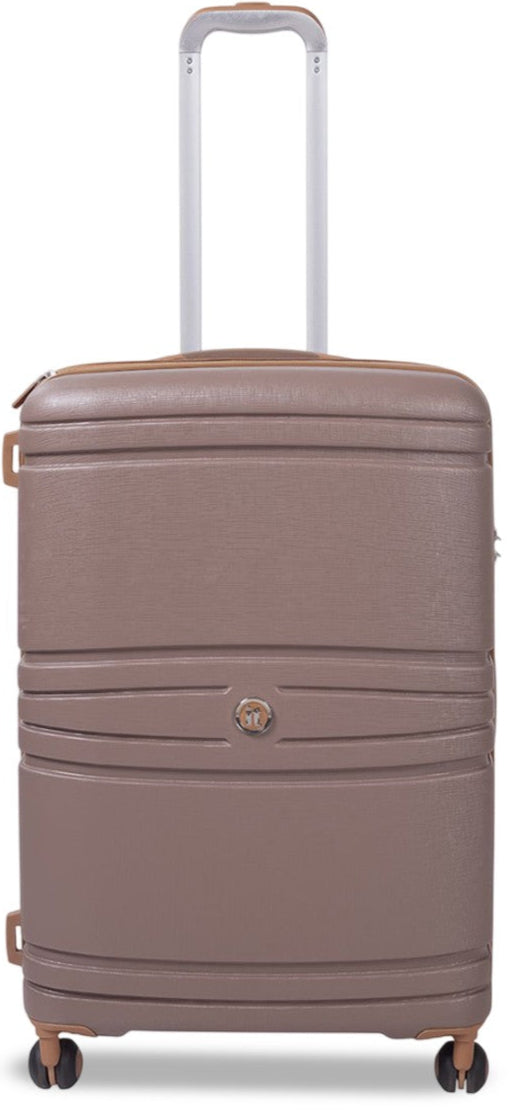 IT Quintessential (Brown)