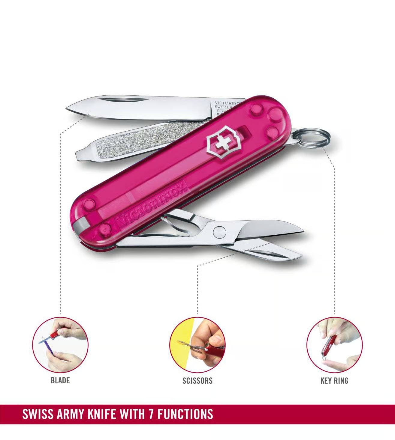 Victorinox Classic (Cupcake Dream)