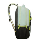 Aristocrat Buzz (Blue & Black)