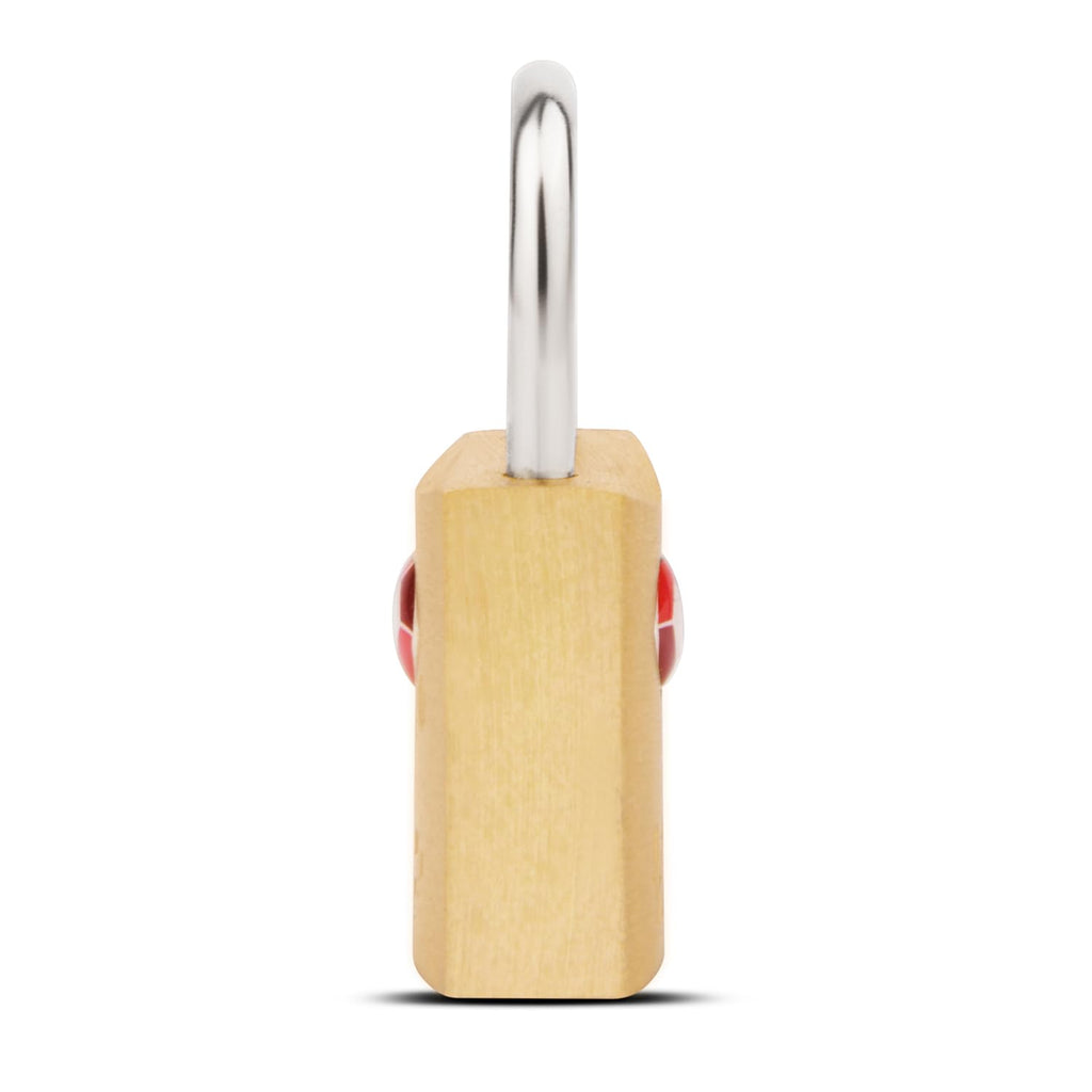 VIP Secure Pro Brass Lock