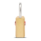 VIP Secure Pro Brass Lock