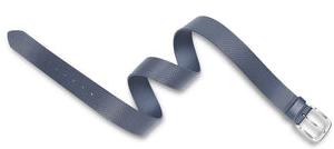 UCB Wilber (Navy)
