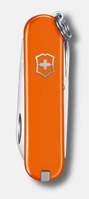 Victorinox Classic (Mango Tango)