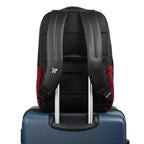 Arctic fox Zenith (Black)