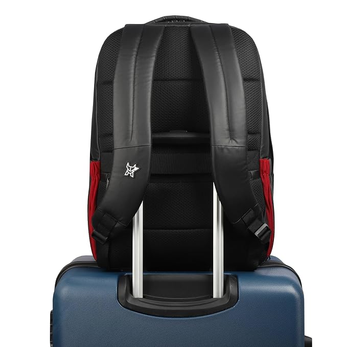 Arctic fox Zenith (Black)