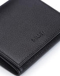 Delsey Francoeur Coin Wallet (Black)