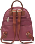 Delsey Courbrvoie 1 CPT (Violet)