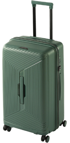 Legacy THE Trunk (Green)