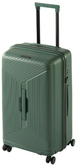 Legacy THE Trunk (Green)