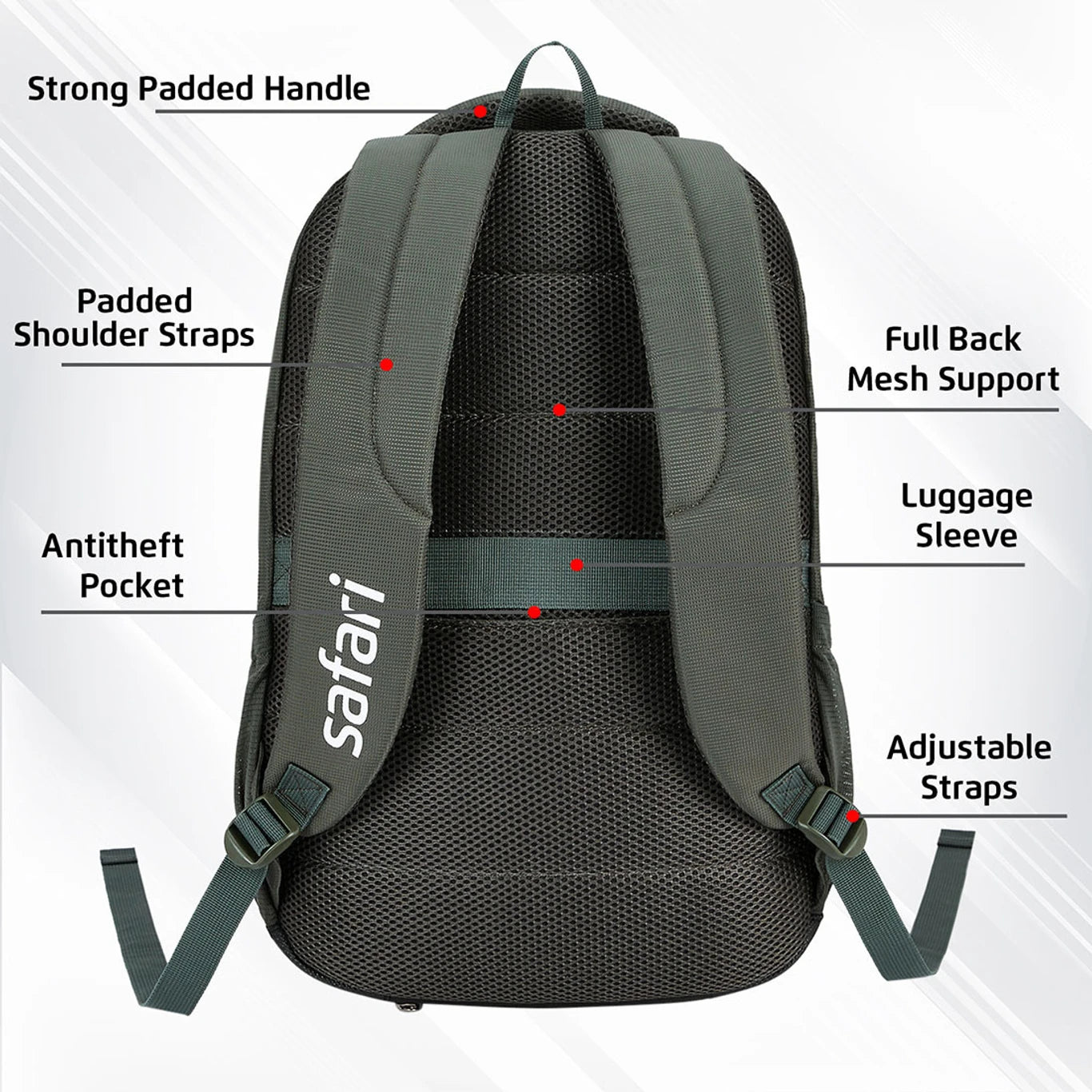 Safari Aura 4 (Olive)