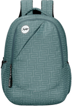 Skybags Tango (Grey)