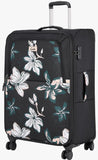 Genie Lily (Black)