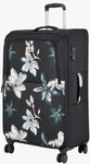 Genie Lily (Black)