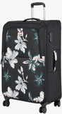 Genie Lily (Black)