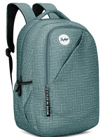 Skybags Tango (Grey)