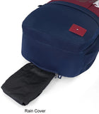 Tommy Hilfiger Holden (Burgundy+Navy)