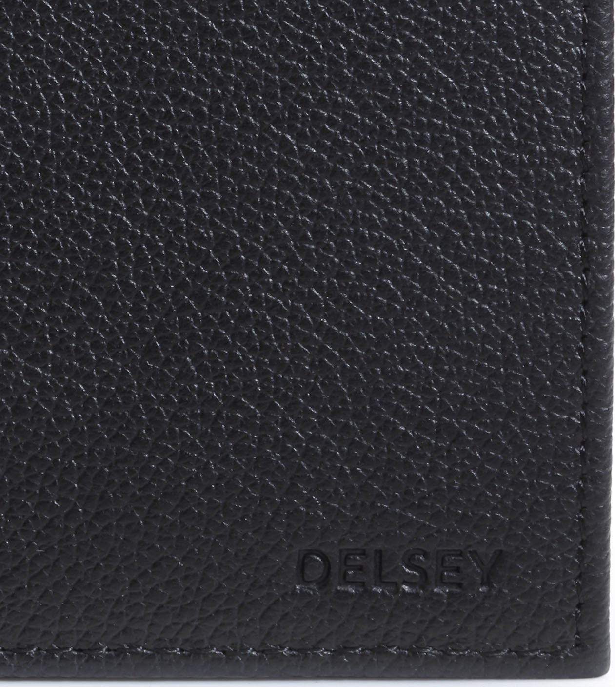 Delsey Francoeur Horizental (Black)