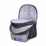 Skybags Nextra(Grey)